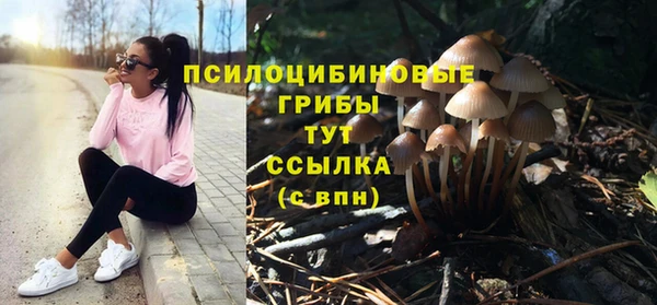 эйфоретик Бронницы