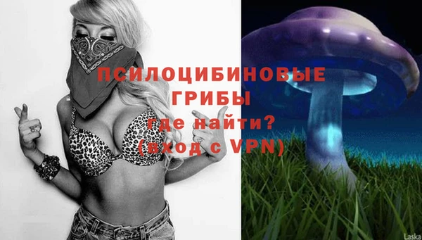синтетический гашиш Верхний Тагил