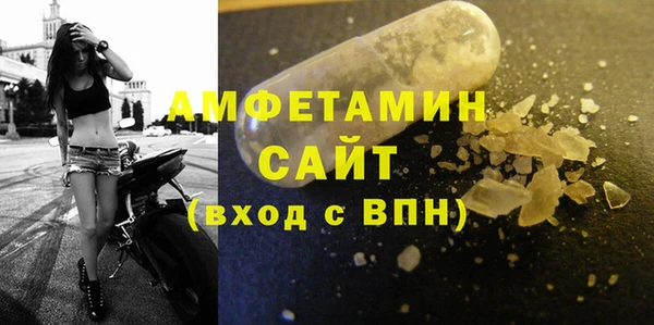 Альфа ПВП Верея