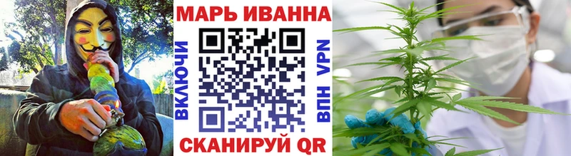 Конопля гибрид  Княгинино 